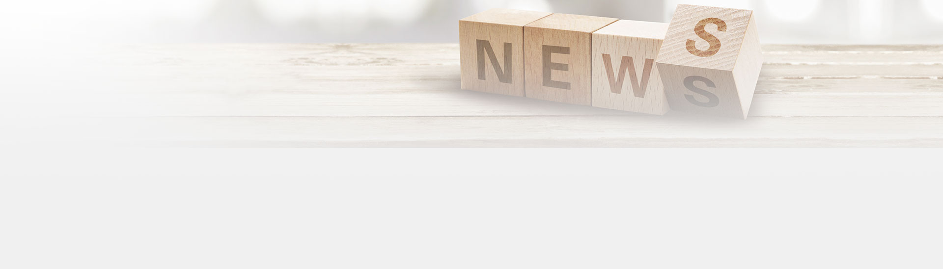 我司全体员工元旦肇庆七星岩一天游